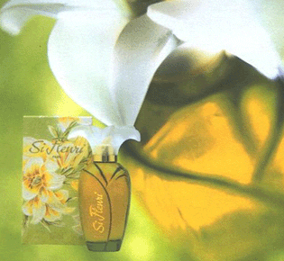 SI FLEURI For Women by Lomani EDT 1.6 OZ. / DEODORANT 5.0 OZ. - Aura Fragrances